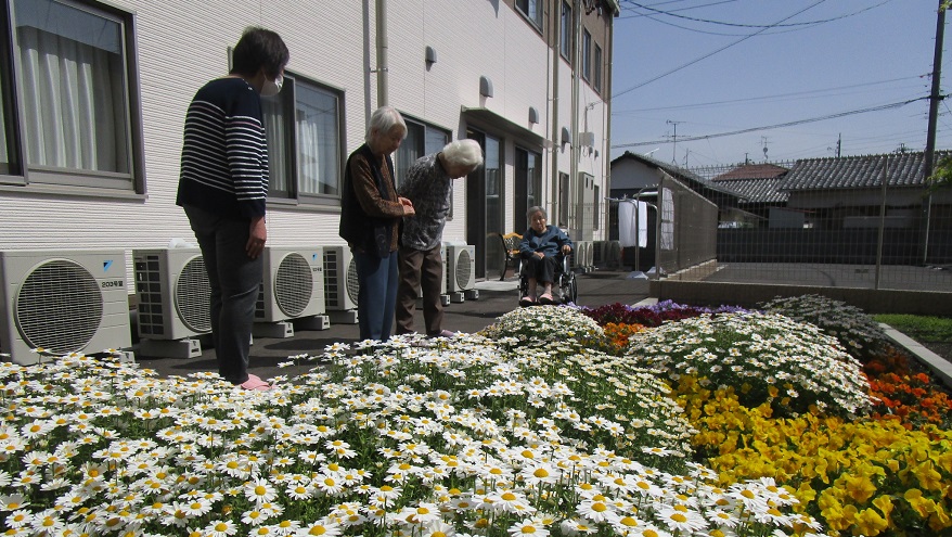 はなまるホーム大岩町の庭に咲く花々